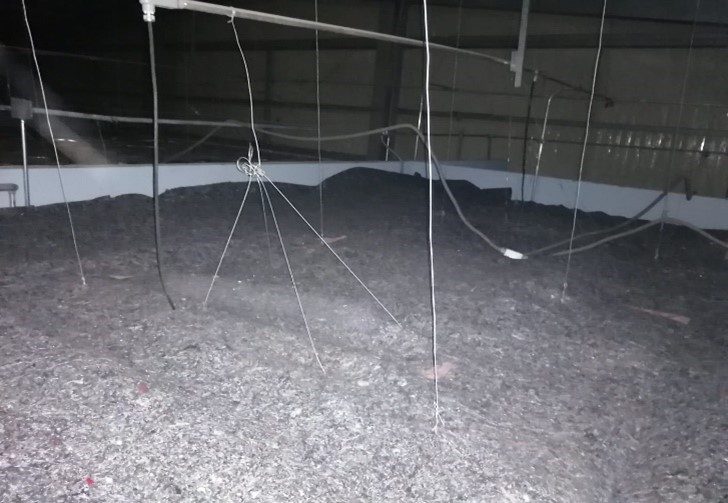 Sistema de aislamiento acústico con fibra instalado en techo de nave industrial Tampico Altamira JALMOR